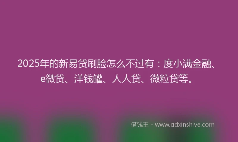 2025年的新易贷刷脸怎么不过有：度小满金融、e微贷、洋钱罐、人人贷、微粒贷等。