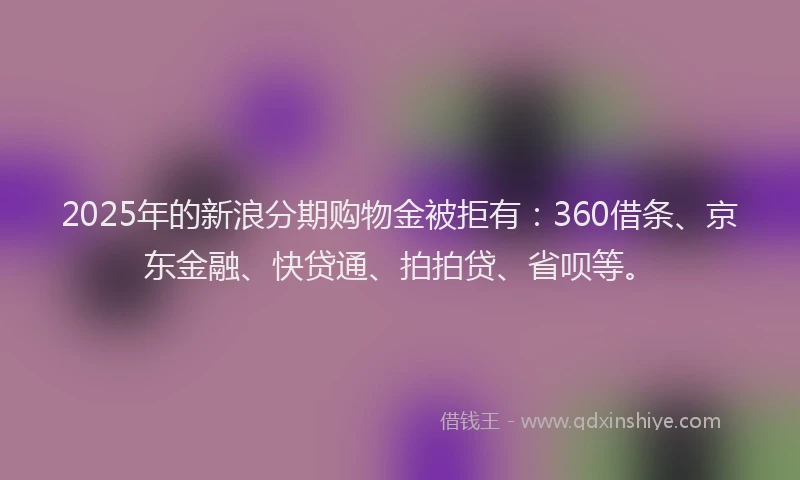 2025年的新浪分期购物金被拒有：360借条、京东金融、快贷通、拍拍贷、省呗等。