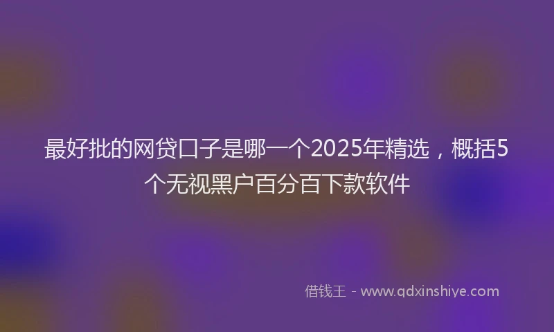 最好批的网贷口子是哪一个2025年精选，概括5个无视黑户百分百下款软件
