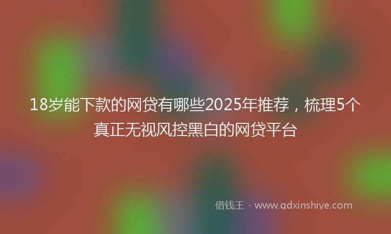 18岁能下款的网贷有哪些2025年推荐，梳理5个真正无视风控黑白的网贷平台
