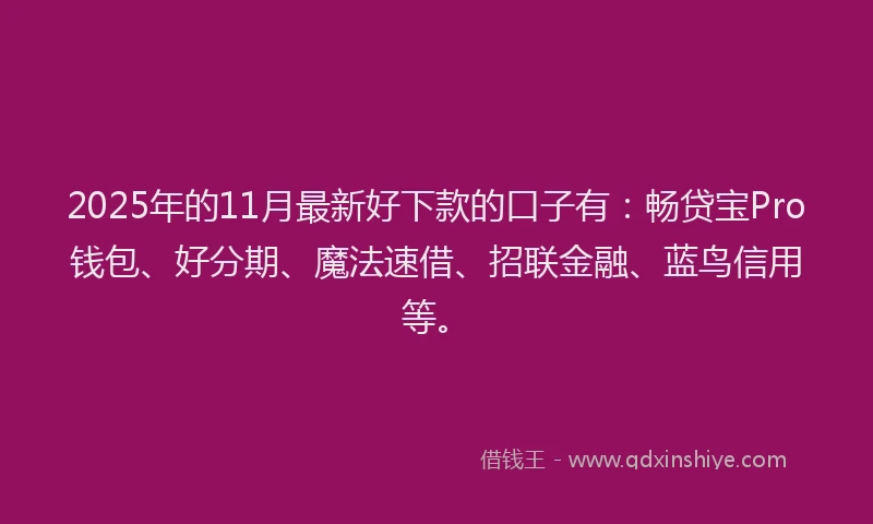 2025年的11月最新好下款的口子有：畅贷宝Pro钱包、好分期、魔法速借、招联金融、蓝鸟信用等。