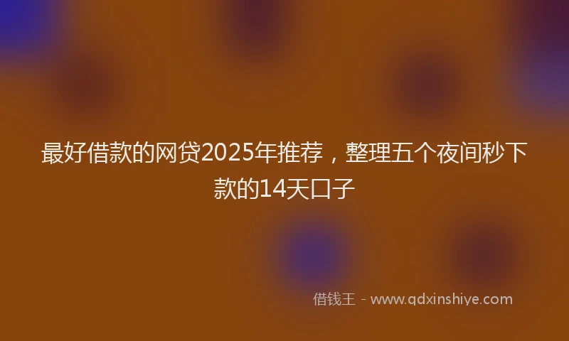 最好借款的网贷2025年推荐，整理五个夜间秒下款的14天口子