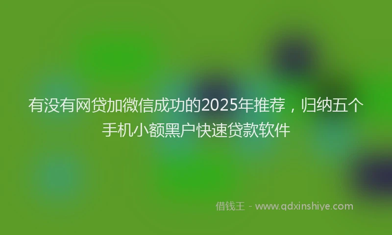 有没有网贷加微信成功的2025年推荐，归纳五个手机小额黑户快速贷款软件