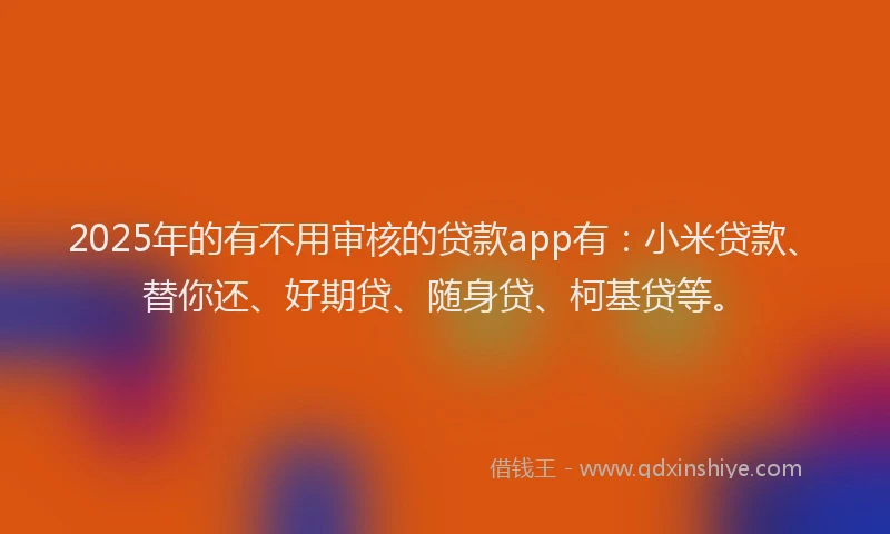 2025年的有不用审核的贷款app有：小米贷款、替你还、好期贷、随身贷、柯基贷等。