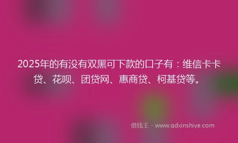 2025年的有没有双黑可下款的口子有：维信卡卡贷、花呗、团贷网、惠商贷、柯基贷等。