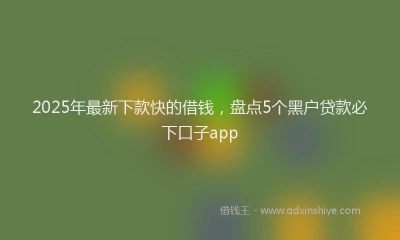 2025年最新下款快的借钱，盘点5个黑户贷款必下口子app
