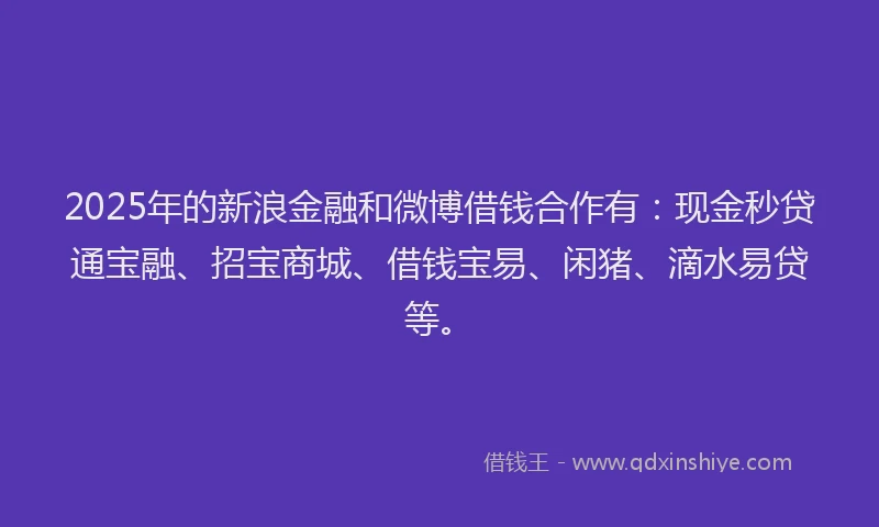2025年的新浪金融和微博借钱合作有:现金秒贷通宝融、招宝商城、借钱宝易、闲猪、滴水易贷等。