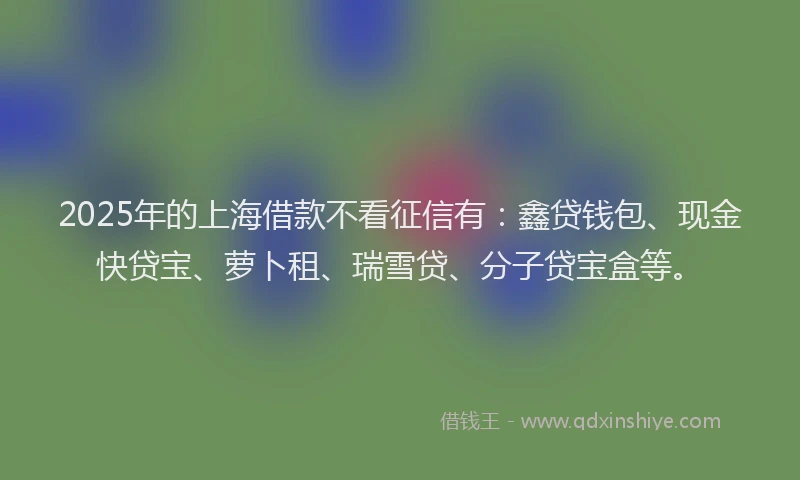 2025年的上海借款不看征信有：鑫贷钱包、现金快贷宝、萝卜租、瑞雪贷、分子贷宝盒等。