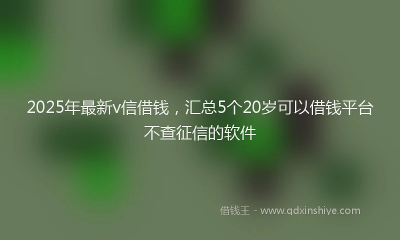 2025年最新v信借钱，汇总5个20岁可以借钱平台不查征信的软件