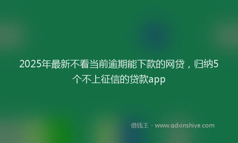 2025年最新不看当前逾期能下款的网贷，归纳5个不上征信的贷款app
