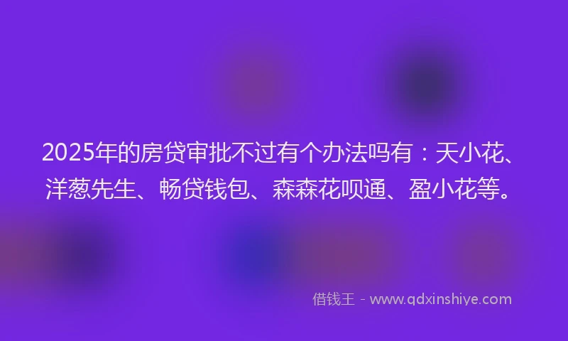 2025年的房贷审批不过有个办法吗有：天小花、洋葱先生、畅贷钱包、森森花呗通、盈小花等。