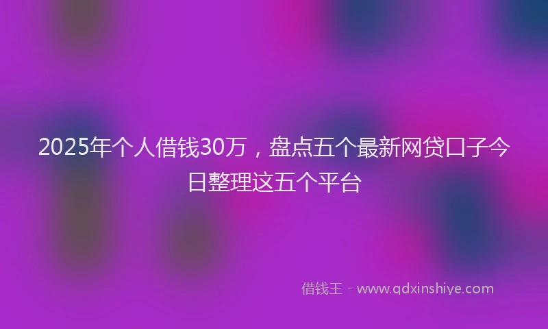2025年个人借钱30万，盘点五个最新网贷口子今日整理这五个平台