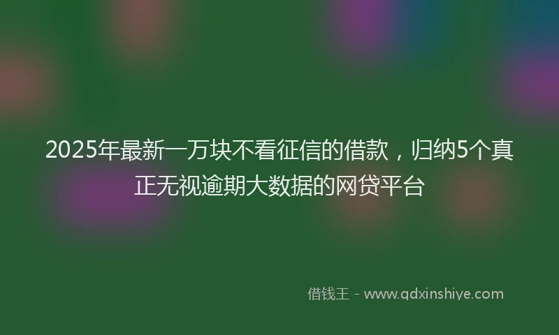 2025年最新一万块不看征信的借款，归纳5个真正无视逾期大数据的网贷平台