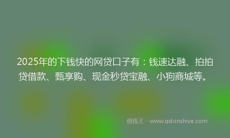 2025年的下钱快的网贷口子有：钱速达融、拍拍贷借款、甄享购、现金秒贷宝融、小狗商城等。