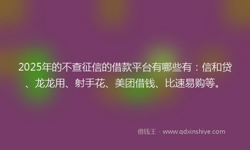 2025年的不查征信的借款平台有哪些有：信和贷、龙龙用、射手花、美团借钱、比速易购等。