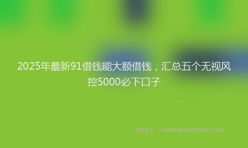 2025年最新91借钱能大额借钱，汇总五个无视风控5000必下口子