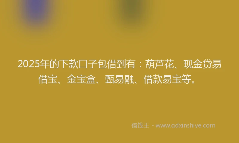 2025年的下款口子包借到有：葫芦花、现金贷易借宝、金宝盒、甄易融、借款易宝等。