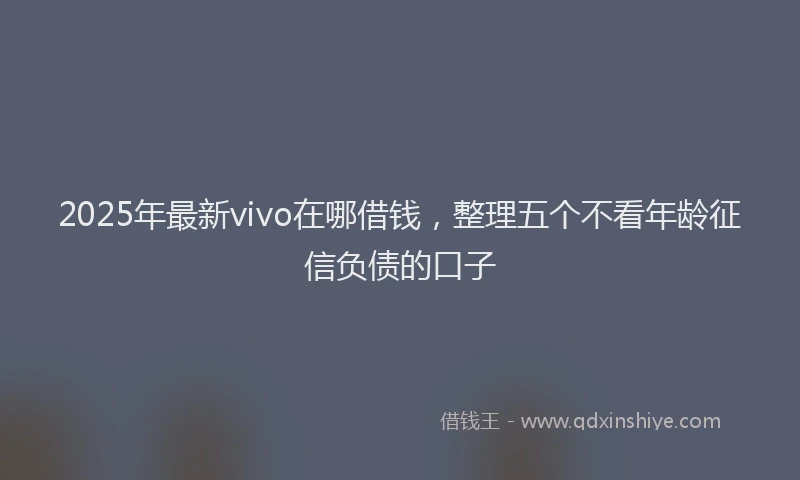 2025年最新vivo在哪借钱，整理五个不看年龄征信负债的口子