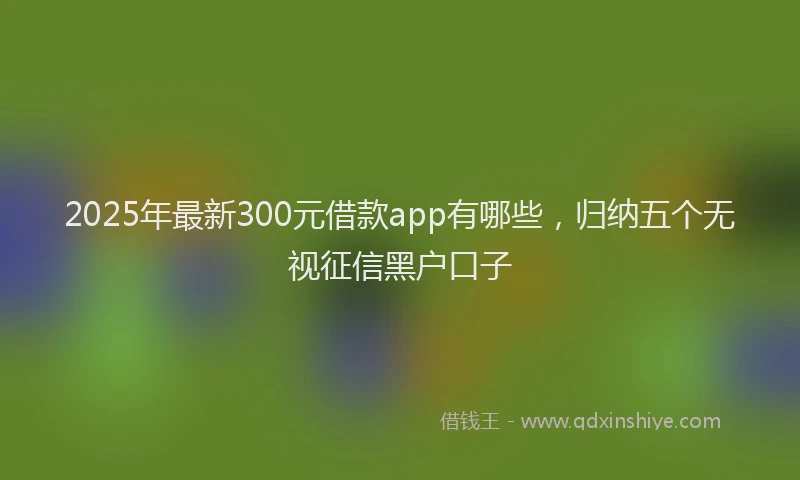 2025年最新300元借款app有哪些，归纳五个无视征信黑户口子