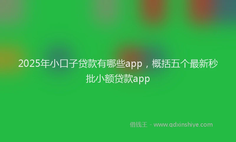 2025年小口子贷款有哪些app，概括五个最新秒批小额贷款app