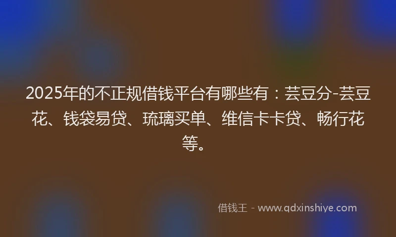 2025年的不正规借钱平台有哪些有：芸豆分-芸豆花、钱袋易贷、琉璃买单、维信卡卡贷、畅行花等。