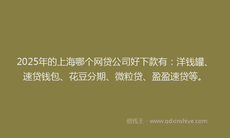 2025年的上海哪个网贷公司好下款有：洋钱罐、速贷钱包、花豆分期、微粒贷、盈盈速贷等。