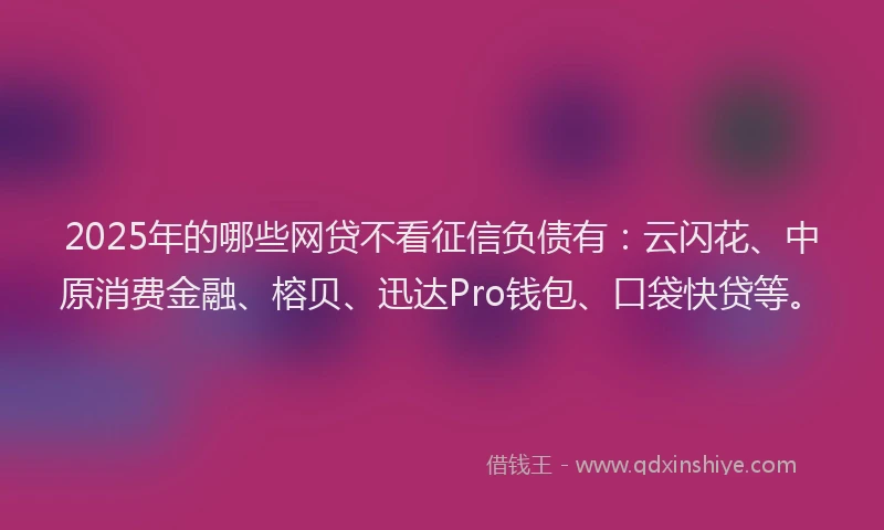 2025年的哪些网贷不看征信负债有：云闪花、中原消费金融、榕贝、迅达Pro钱包、口袋快贷等。