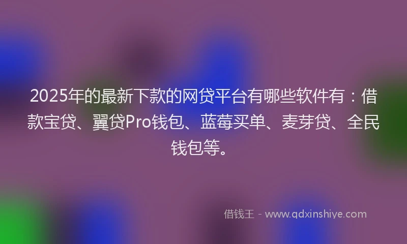 2025年的最新下款的网贷平台有哪些软件有：借款宝贷、翼贷Pro钱包、蓝莓买单、麦芽贷、全民钱包等。