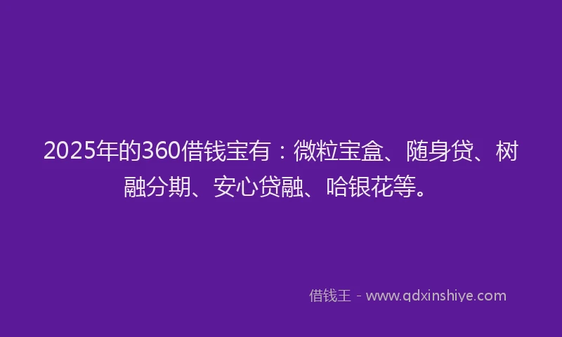 2025年的360借钱宝有：微粒宝盒、随身贷、树融分期、安心贷融、哈银花等。