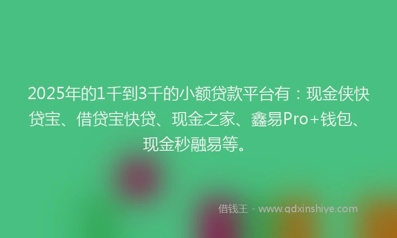 2025年的1千到3千的小额贷款平台有：现金侠快贷宝、借贷宝快贷、现金之家、鑫易Pro+钱包、现金秒融易等。