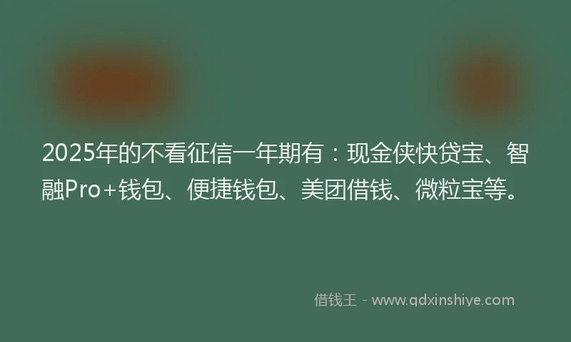 2025年的不看征信一年期有：现金侠快贷宝、智融Pro+钱包、便捷钱包、美团借钱、微粒宝等。