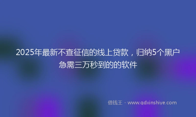 2025年最新不查征信的线上贷款，归纳5个黑户急需三万秒到的的软件