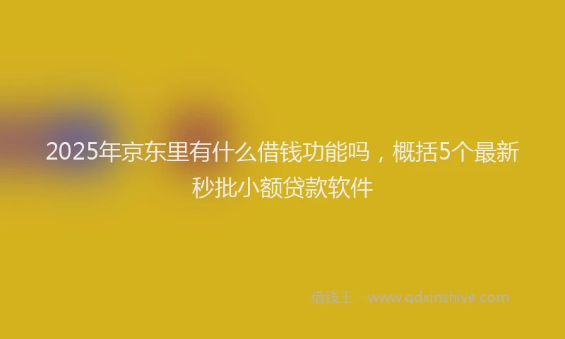 2025年京东里有什么借钱功能吗，概括5个最新秒批小额贷款软件