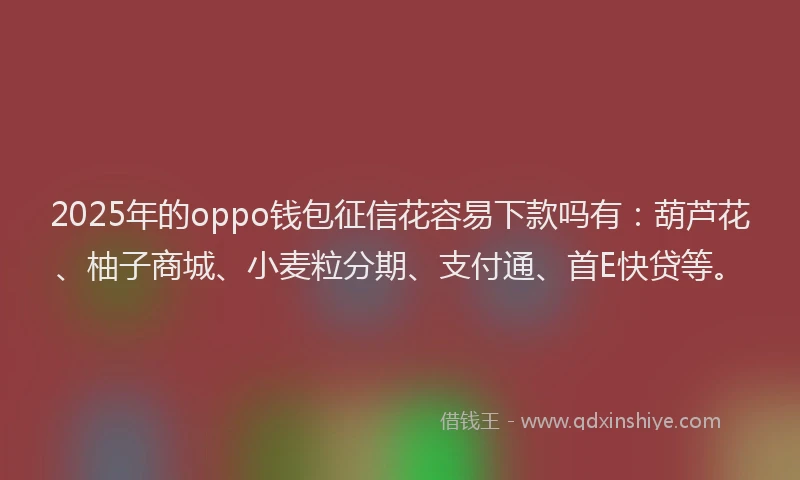 2025年的oppo钱包征信花容易下款吗有：葫芦花、柚子商城、小麦粒分期、支付通、首E快贷等。