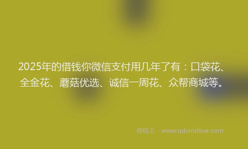 2025年的借钱你微信支付用几年了有：口袋花、全金花、蘑菇优选、诚信一周花、众帮商城等。