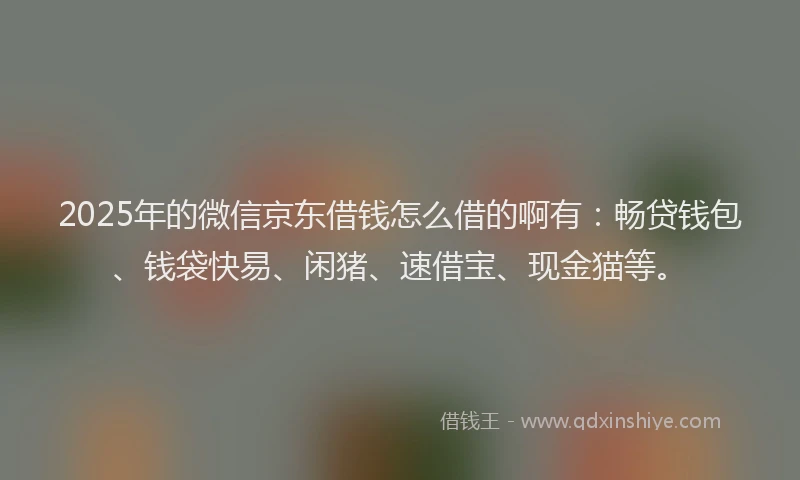 2025年的微信京东借钱怎么借的啊有：畅贷钱包、钱袋快易、闲猪、速借宝、现金猫等。