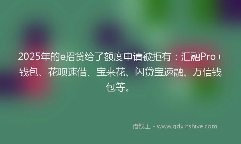 2025年的e招贷给了额度申请被拒有：汇融Pro+钱包、花呗速借、宝来花、闪贷宝速融、万信钱包等。