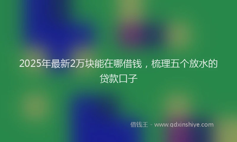 2025年最新2万块能在哪借钱，梳理五个放水的贷款口子