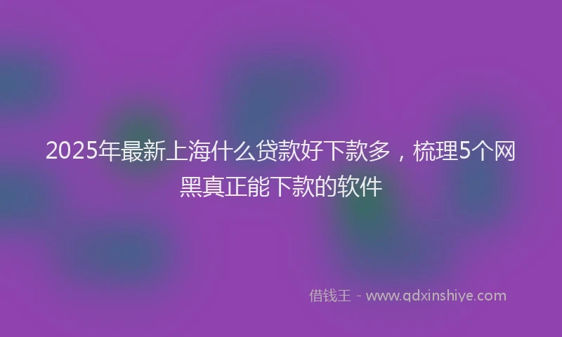 2025年最新上海什么贷款好下款多，梳理5个网黑真正能下款的软件