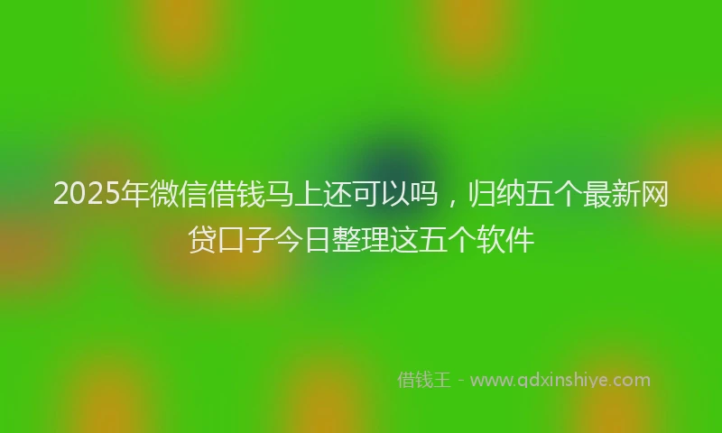 2025年微信借钱马上还可以吗，归纳五个最新网贷口子今日整理这五个软件