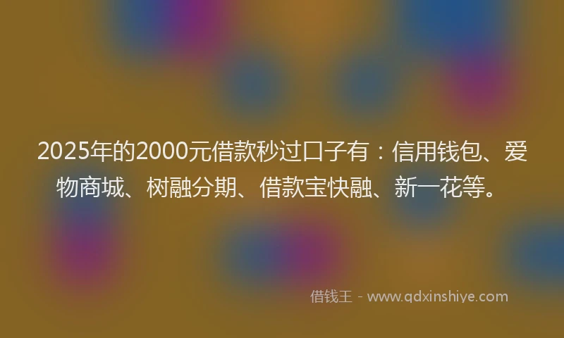 2025年的2000元借款秒过口子有：信用钱包、爱物商城、树融分期、借款宝快融、新一花等。