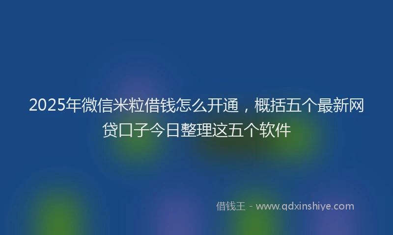 2025年微信米粒借钱怎么开通，概括五个最新网贷口子今日整理这五个软件