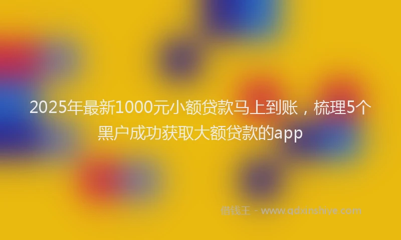 2025年最新1000元小额贷款马上到账，梳理5个黑户成功获取大额贷款的app