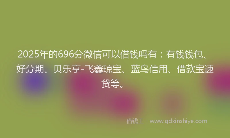 2025年的696分微信可以借钱吗有：有钱钱包、好分期、贝乐享-飞鑫琼宝、蓝鸟信用、借款宝速贷等。