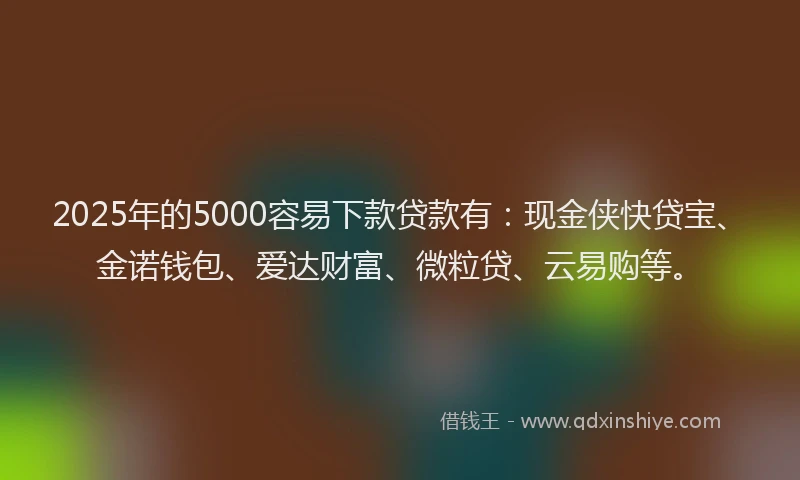 2025年的5000容易下款贷款有：现金侠快贷宝、金诺钱包、爱达财富、微粒贷、云易购等。