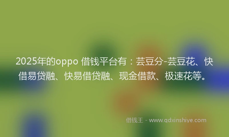 2025年的oppo 借钱平台有：芸豆分-芸豆花、快借易贷融、快易借贷融、现金借款、极速花等。