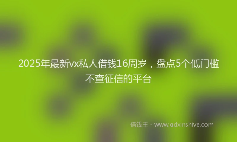 2025年最新vx私人借钱16周岁，盘点5个低门槛不查征信的平台