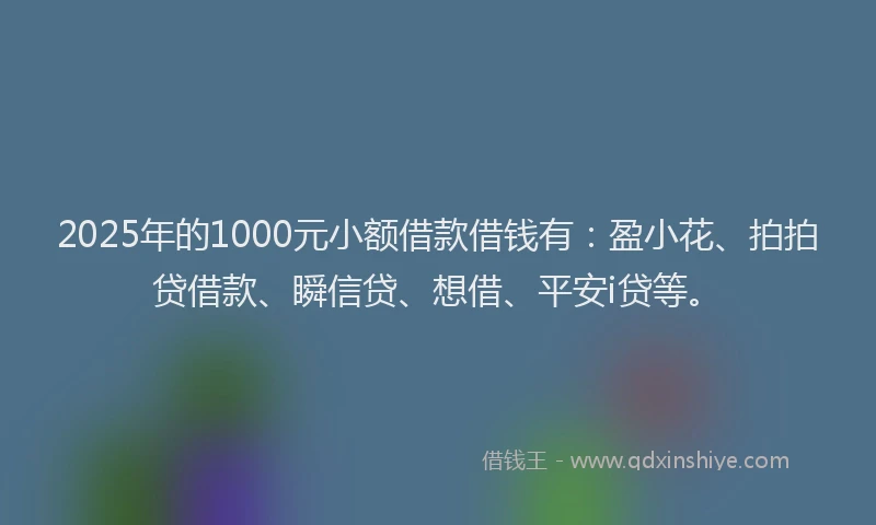 2025年的1000元小额借款借钱有：盈小花、拍拍贷借款、瞬信贷、想借、平安i贷等。