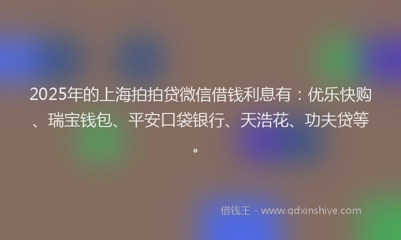 2025年的上海拍拍贷微信借钱利息有：优乐快购、瑞宝钱包、平安口袋银行、天浩花、功夫贷等。