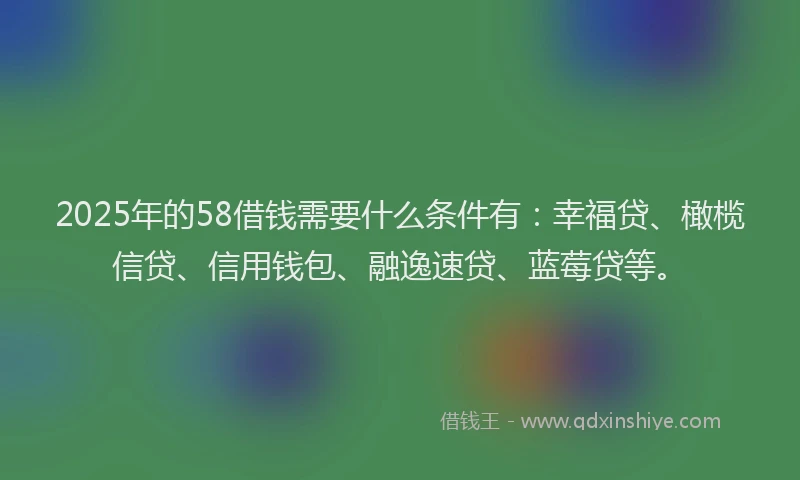 2025年的58借钱需要什么条件有：幸福贷、橄榄信贷、信用钱包、融逸速贷、蓝莓贷等。
